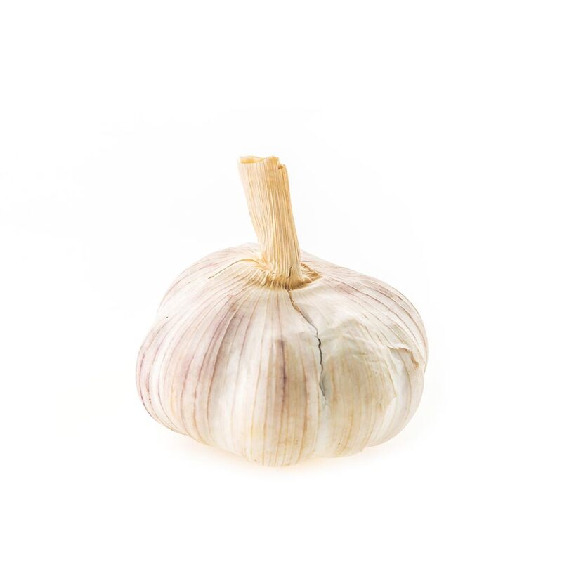 Garlic